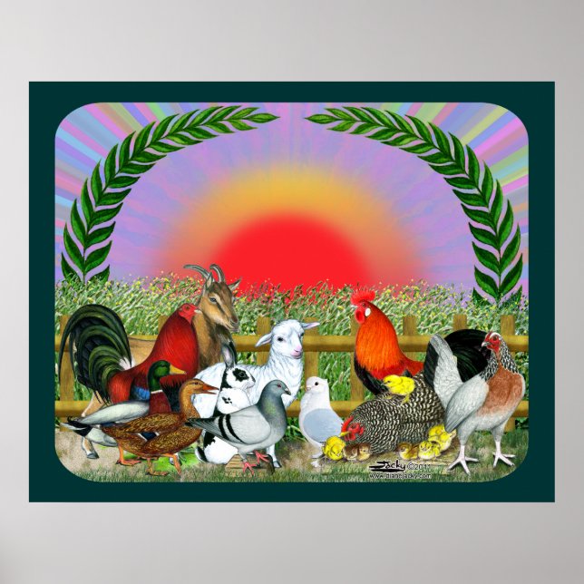Poster Animaux de ferme (Devant)