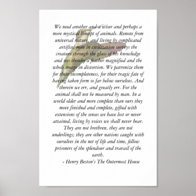 Poster Animaux de la maison la plus éloignée (Devant)