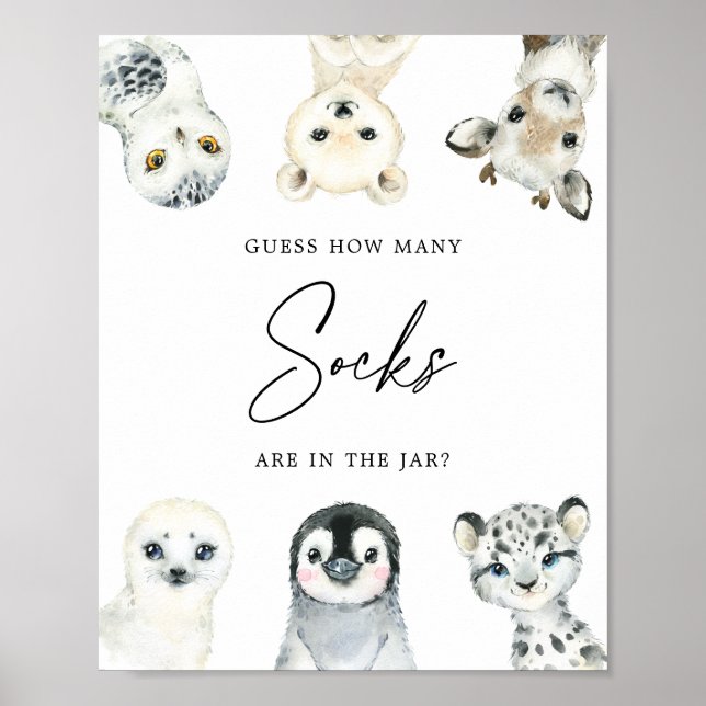 Poster Animaux de l'Arctique Devinez combien de Chaussett (Devant)