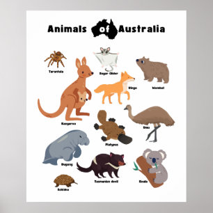 Poster Animaux de l'Australie faune australienne