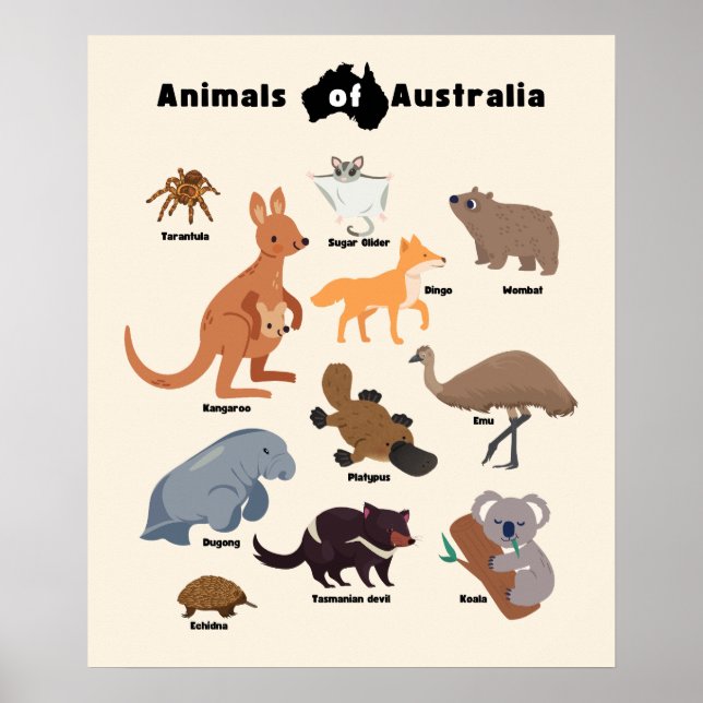 Poster Animaux de l'Australie faune australienne (Devant)