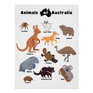 Poster Animaux de l'Australie faune australienne