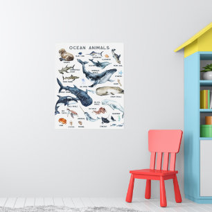 Poster Animaux marins Formation en classe