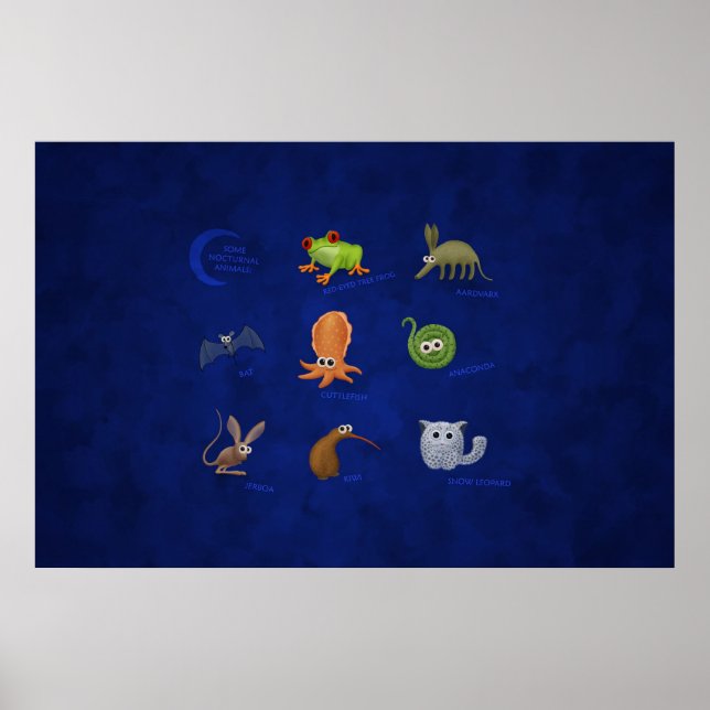 Poster Animaux nocturnes (Devant)