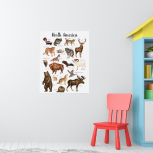 Poster Animaux nord-américains Classe d'éducation