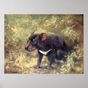Poster Animaux Sauvages Vintage, Diable de Tasmanie par C