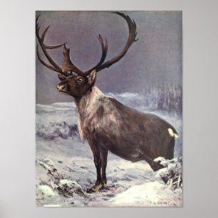 Poster Animaux Sauvages Vintage, Renne Caribou par CE Swa