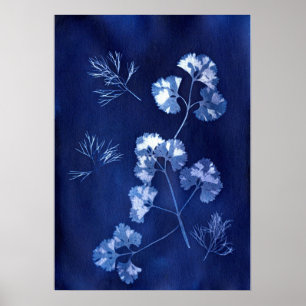 POSTER ANNA ATKINS