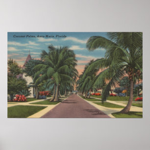Poster Anna Maria, Floride - Vue sur Palms le long de la 
