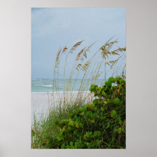 Poster Anna Maria Island, Floride, scène de plage