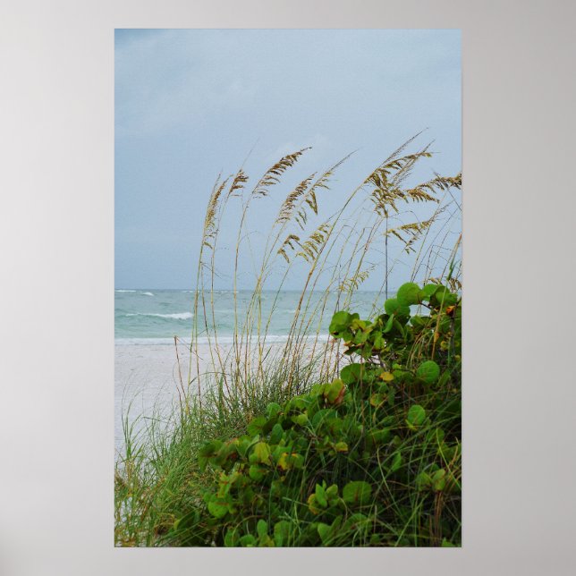 Poster Anna Maria Island, Floride, scène de plage (Devant)