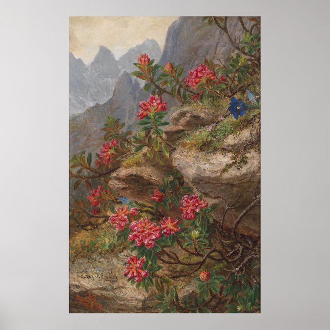 Poster Anna Stainer-Knittel Fleurs alpines Vintages (Devant)