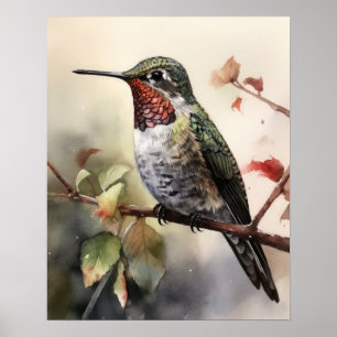 Poster Anna's Hummingbird Bird Art Imprimer l'affiche