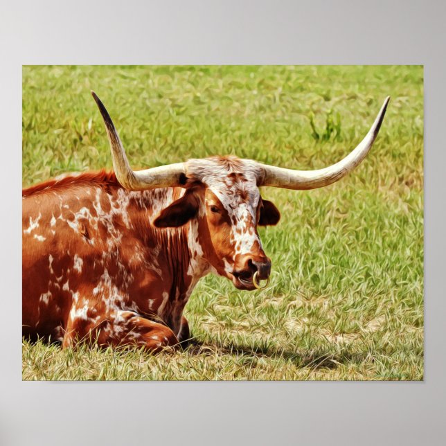 Poster Anneau Nez Texas Longhorn Vache Art photographique (Devant)