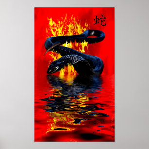 Poster Année du serpent Serpent noir Nouvel An chinois