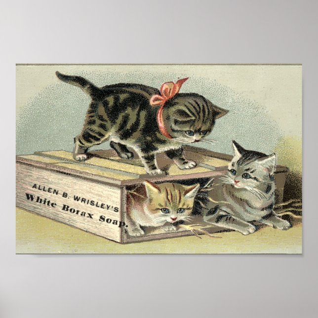 Poster Annonce savonneuse de Kittens de l'époque victorie (Devant)