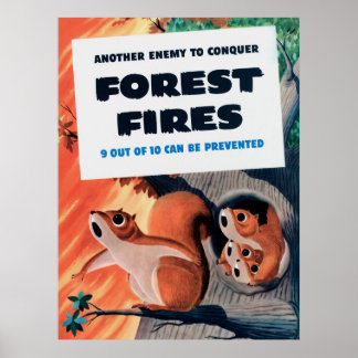 Poster Another Enemy To Conquer Forest Fires