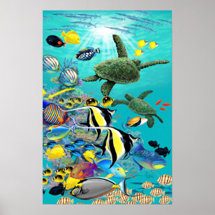 Poster Anse de Molokini Poissons Tropicaux Hawaïens et To