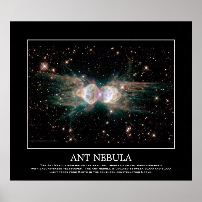 Poster Ant Nebula - En Constellation Norma (Devant)