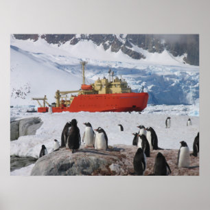 Poster Antarctica
