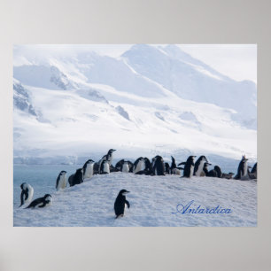 Poster Antarctique