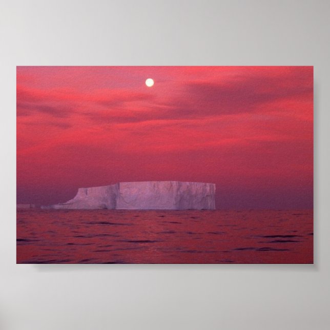 Poster Antarctique (Devant)