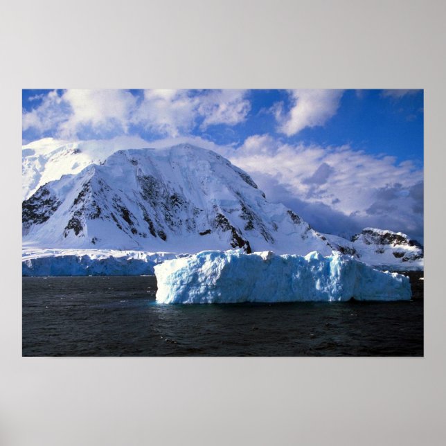 Poster Antarctique (Devant)