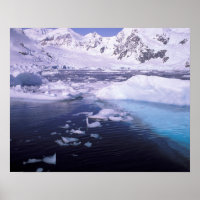 Antarctique. Expédition à travers des échappées de