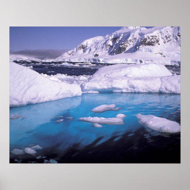 Poster Antarctique. Expédition à travers les échappées de (Devant)