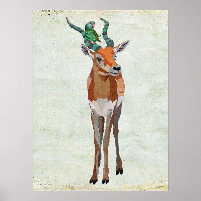 Poster Antelope & Parrot Art (Devant)
