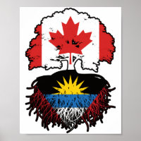 Antigua Antiguan Canadian Canada Arbre Roots Drape