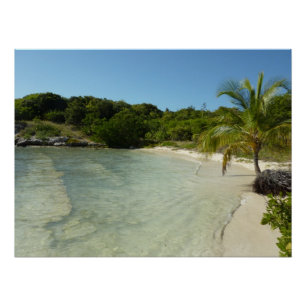 Poster Antiguan Beach Beautiful Tropical Landscape