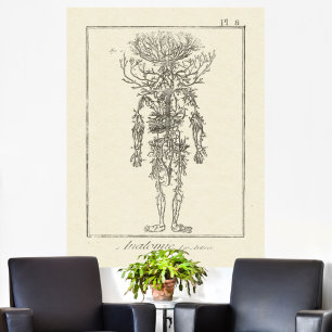 Poster Antique Anatomie Engraving Arteries