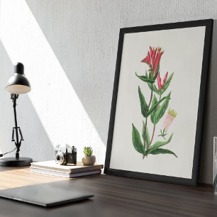 Poster Antique Aquarelle Botanique Imprimer