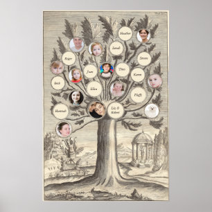 Poster Antique arbre généalogique Insérez vos propres nom
