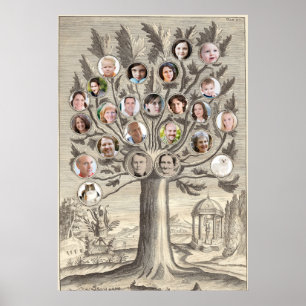 Poster Antique arbre généalogique Insérez vos propres nom