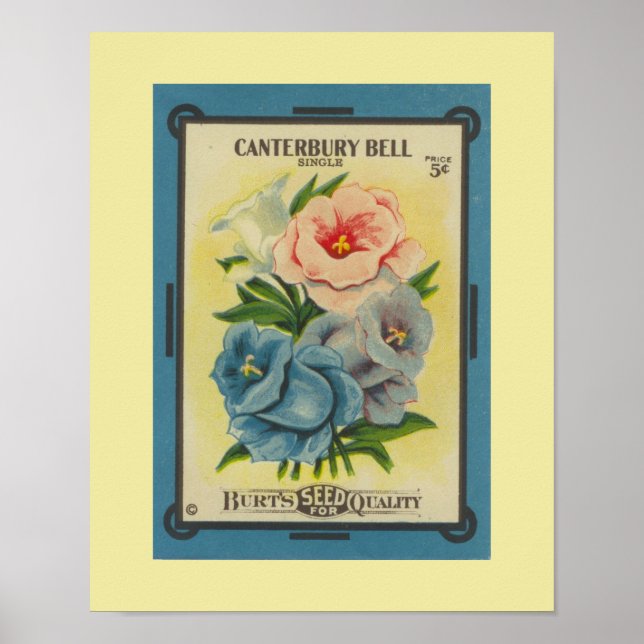 Poster Antique Canterbury Bells (Devant)