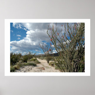 Poster Anza Borrego - la fleur