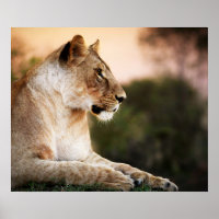 *~* AP23 Aquarelle Artistique Golden LIONESS Artsy