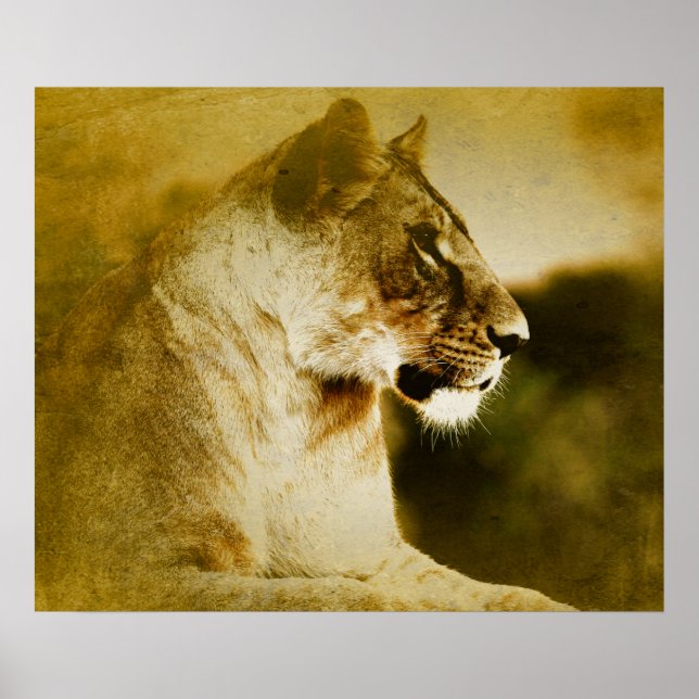 Poster *~* AP23 Aquarelle Artistique Golden LIONESS Artsy (Devant)