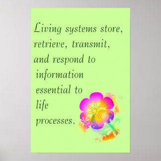 Poster AP Biologie Grande Idée 3