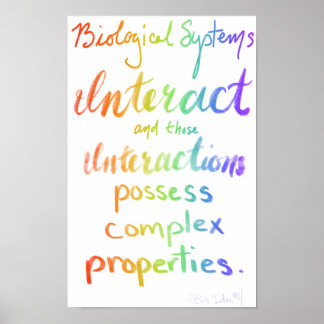 Poster AP Biologie Grande Idée Quatre