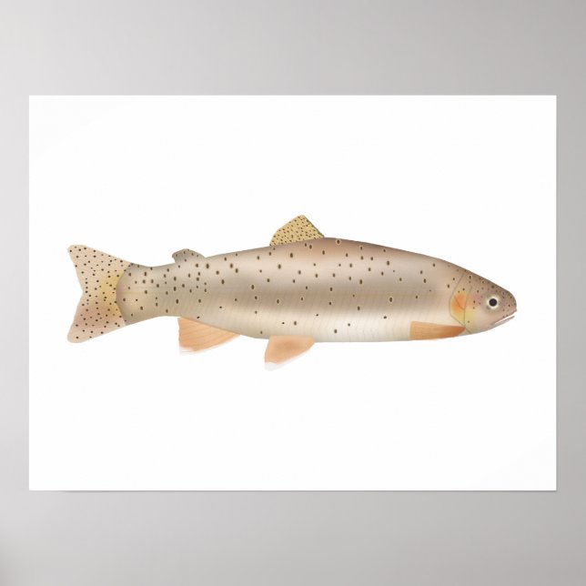 Poster Apache Trout (Devant)