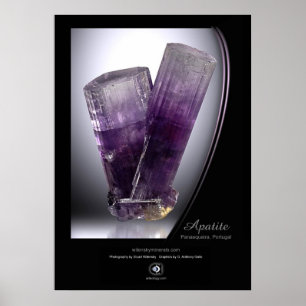 POSTER APATITE