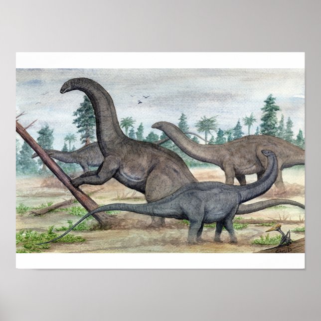 Poster Apatosaure et Brontosaurus Imprimer (Devant)