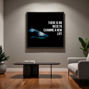Poster Apex