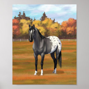 Poster Appaloosa Quarter Horse Étalon Gris Grulla