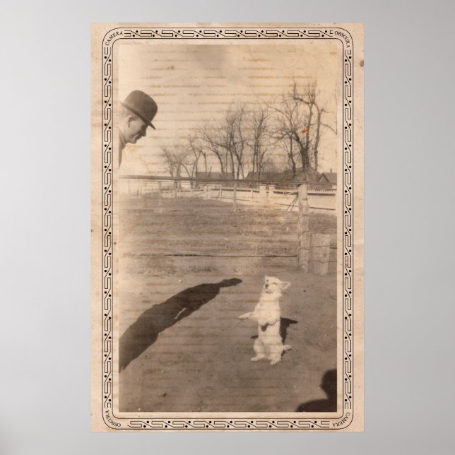 Poster Appareil photo Obscura #351 (Devant)