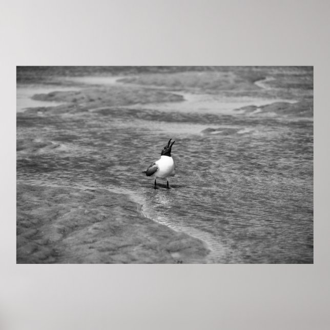 Poster Appel (Devant)