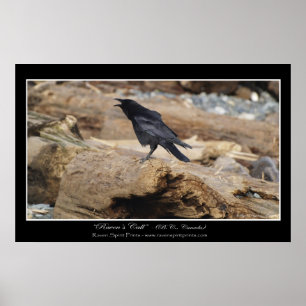 Poster "APPEL DE RAVEN" Photo